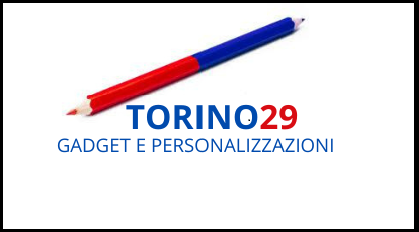 Torino29